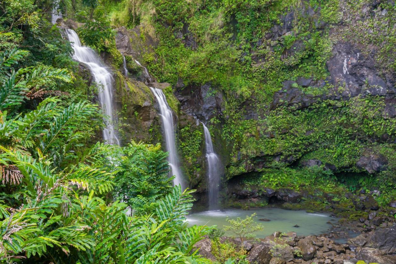 Vila Kaleialoha 213 Lahaina Exteriér fotografie